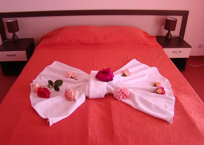 Bellisimo 로제넷츠