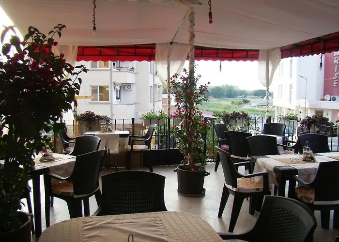 Bellisimo 로제넷츠